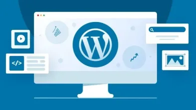 WordPress-Development